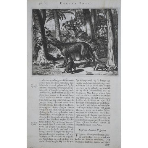 Old map image download for [lot of 8 maps/ prints of the Caribbean] Cuba Insula, inset: Havanna portus; Hispanolia Insula; Insula Iamaica; Ins. S. Ioannis; I.s. Margareta.