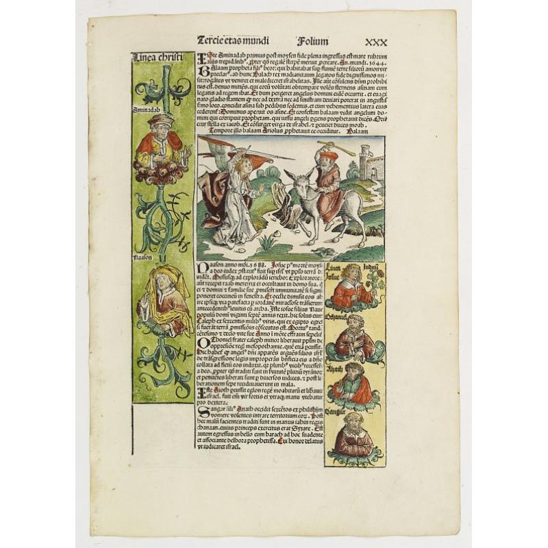 Tercia Etas Mundi. Folium XXX. [The Passage of the Red Sea, Moses receiving the Commandments, God's Angel, Balaam and his talking donkey. ]