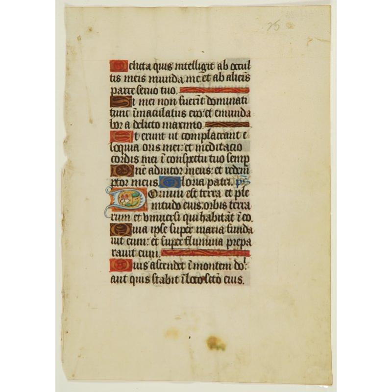 Leaf on vellum from a manuscript Book of Hours.