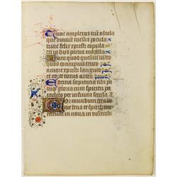 Manuscript leaf on vellum.