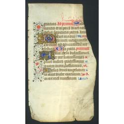 Manuscript leaf on vellum.