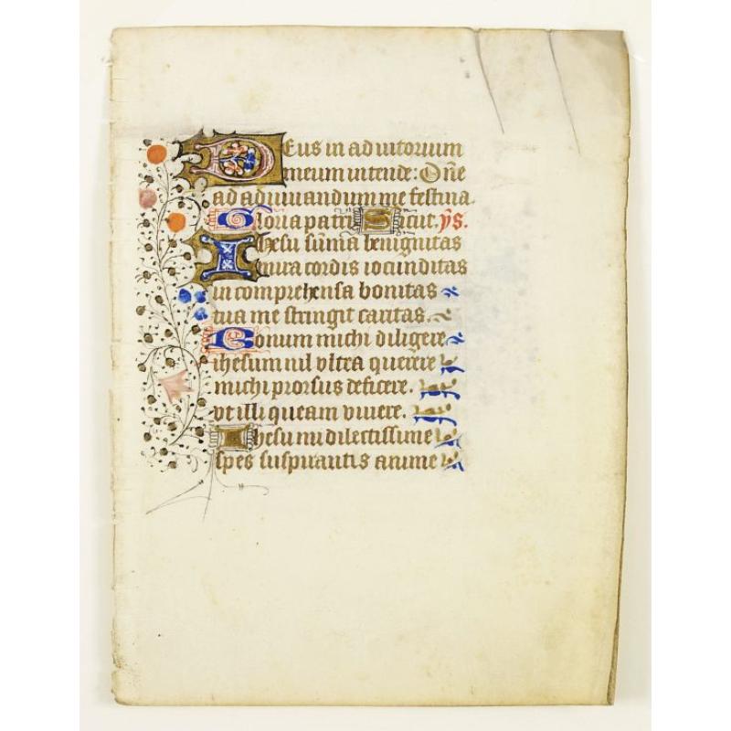 Manuscript leaf on vellum.