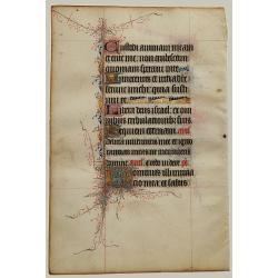 Leaf on vellum from a manuscript Book of Hours.