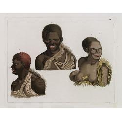 [ Three portraits of inhabitants of Van Diemen's Land ].