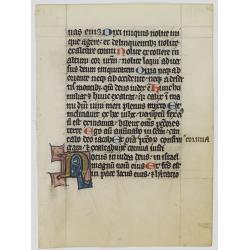 Manuscript leaf, written on vellum, from a Flemish Psalter.