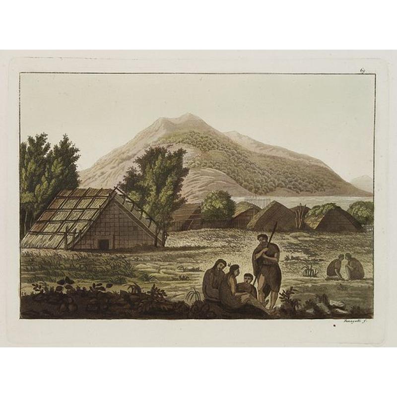 [ View of the Hippah in New Zealand ].