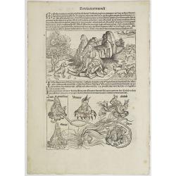 [Text page with woodcuts of Moses, Aaron, Job, etc. Foliu XIXX ].