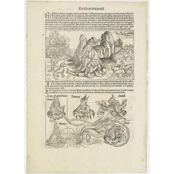 [Text page with woodcuts of Moses, Aaron, Job, etc. Foliu XIXX ].