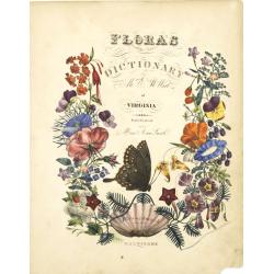 [Title page] Flora's dictionary by Mrs. E.W. Wirt of Virginia.