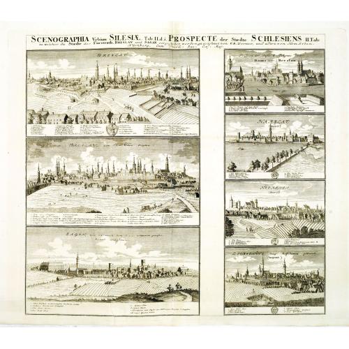 Old map image download for Scenographia Urbium Silesiae, Tab III. / Prospect der Stadte Schlesiens III. Tabell. . . Fürstenth Wohlau. . .