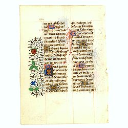 Leave from a Book of Hours on vellum.