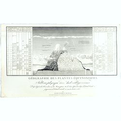 Géographie des Plantes Equinoxiales - Tableau physique des Andes et pays voisins..