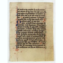 Manuscript leaf from a very early [around 1300] Breviary.