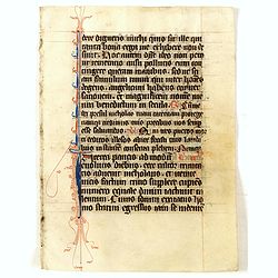 Manuscript leaf from a very early [around 1300] Breviary.