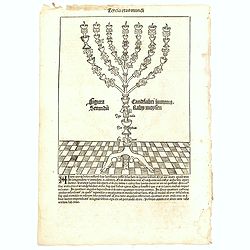 Tercia Etas Mundi. Folium.XXXII (with a candelabra)