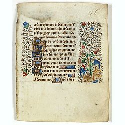 Small leaf on vellum from a manuscript Book of Hours.