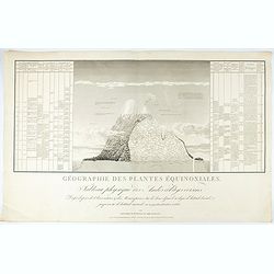 Géographie des Plantes Equinoxiales - Tableau physique des Andes et pays voisins..