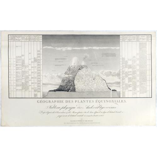 Old map image download for Géographie des Plantes Equinoxiales - Tableau physique des Andes et pays voisins..