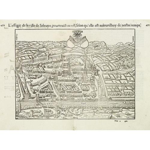 Old map image download for L'effigie de la ville de Saleurre. . . (Solothum)