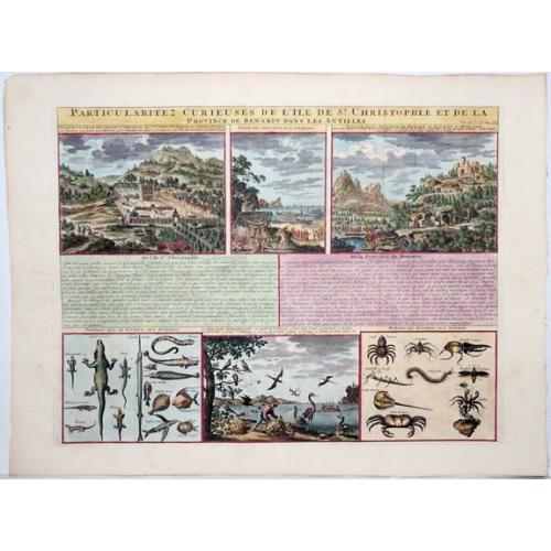 Old map image download for [St.Kitts]-St. Christophle,- Particularitez Curieuses De L'Ile De .. et De La Province De Bemarin Dans Les Antilles.